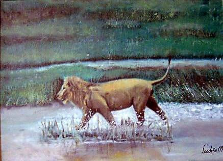 León africano Oil Canvas