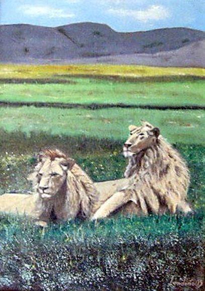Africa ,leones