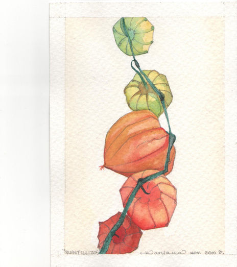 Quintillizos Tomates