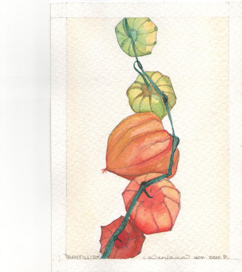 Quintillizos Tomates Watercolour Card Still Life Paintings