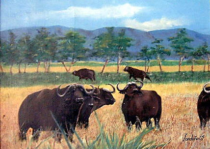 Africa ,bufalos