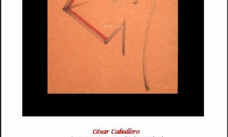 MIS PRIMERAS CARAS (OBRAS 2000)