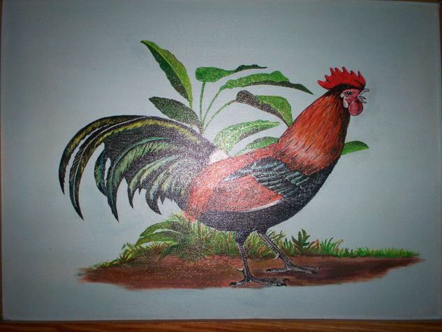 gallo fino 