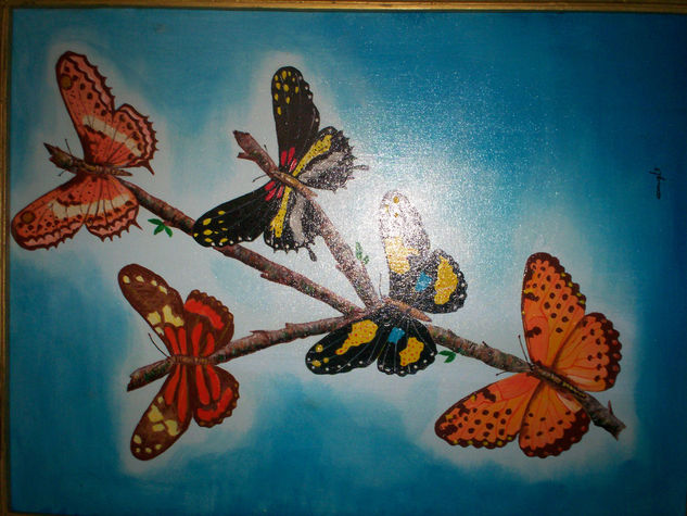 mariposas 