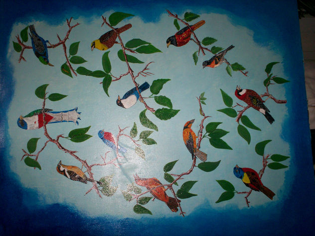 pajaros y tocorroro
