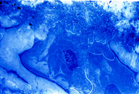 De hielo, hueso y barro