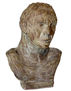 Busto