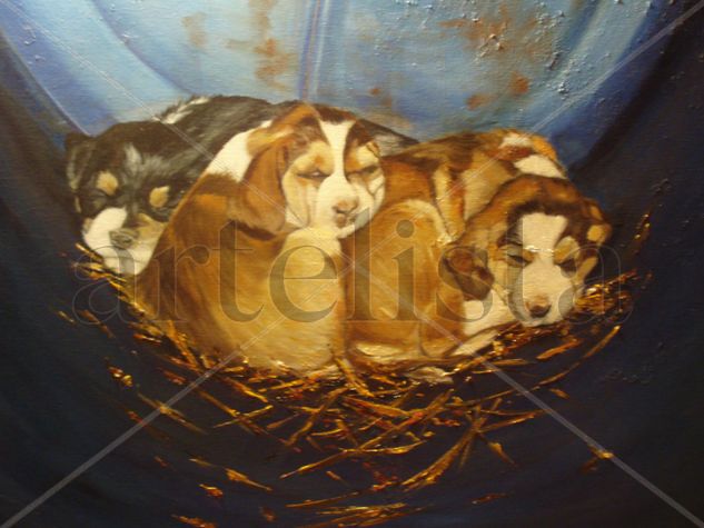 SOMNIS Oil Canvas Animals