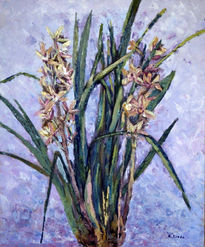 Orquídeas