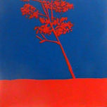 BICROMIA thumbnail 1