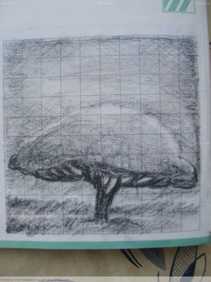 ARBOL Charcoal