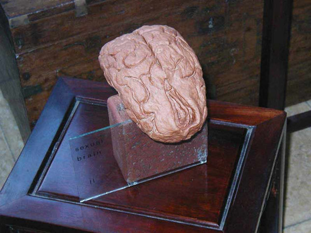 Sexual Brain II Others