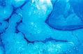 De hielo, hueso y barro