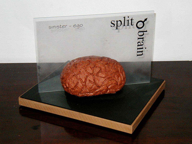 split brain
