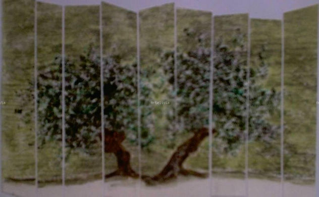 OLIVOS 16
