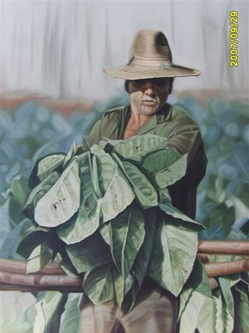 "Cosecha tabacalera"
