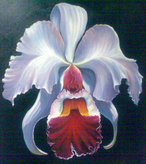 orquidea ,, 