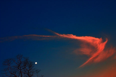 Angel in the dusk