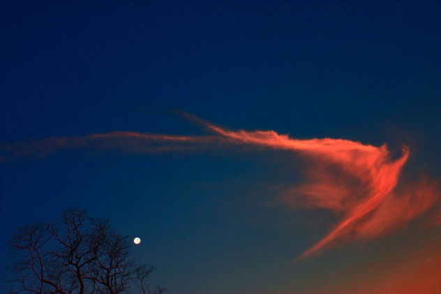 Angel in the dusk