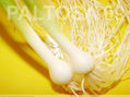 CEBOLLINES