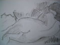 desnudo