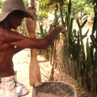 obra
