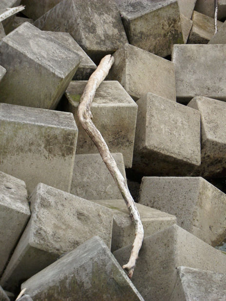 Geometria 7/7