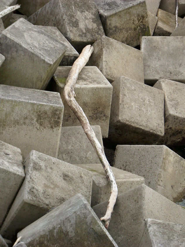 Geometria 7/7