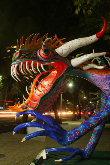 Alebrije Fotoperiodismo y documental Color (Digital)