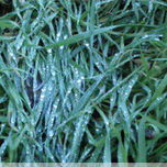 FOTOS thumbnail 1