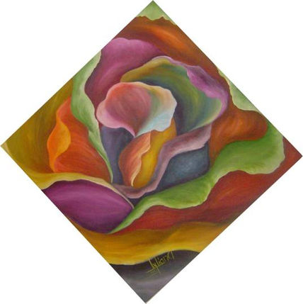 Rosa Multicolor