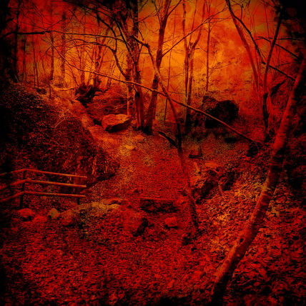 Naturaleza tóxica 03