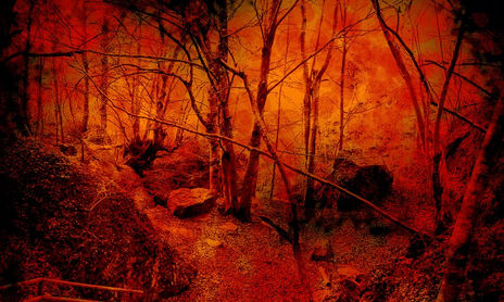 Naturaleza Tóxica
