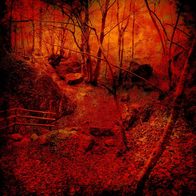 naturaleza tóxica 03