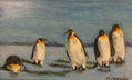 Pingüinos