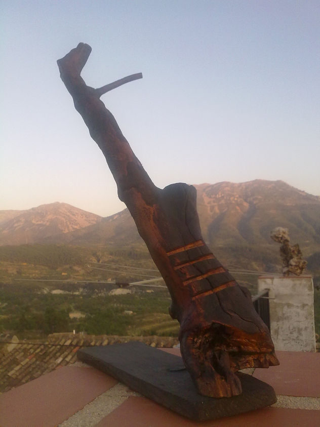 PARTO AL ATARDECER 637/2011
