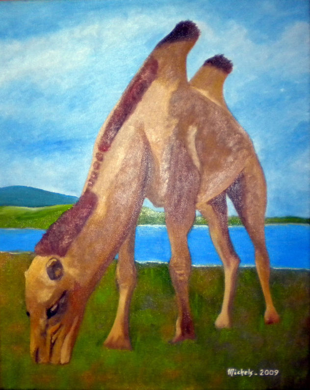 Trampeltier (Camelus bactrianus)