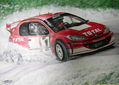 Peugeot 206 de Rally