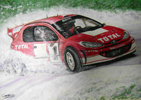 Peugeot 206 de Rally