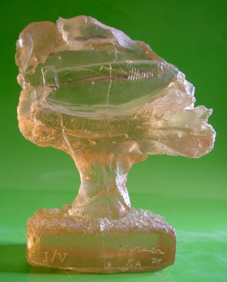 TORNILLO FÓSIL,1971.