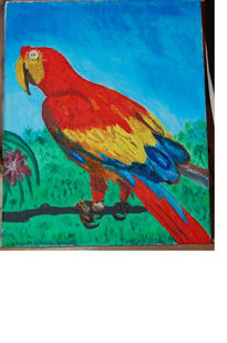 Guacamayo