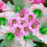 NATURALEZA thumbnail 2