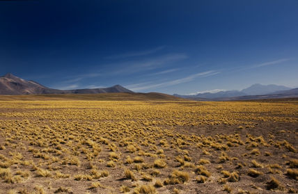 Desierto