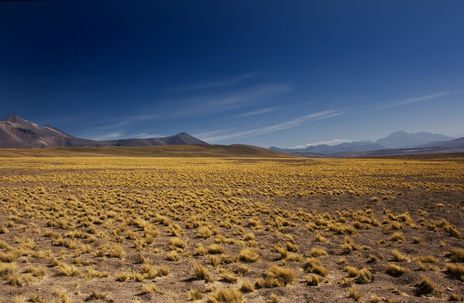 Desierto