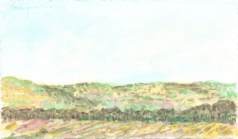 Paisaje de Zabalint