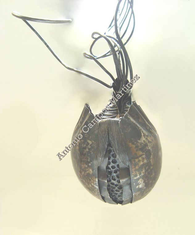 Criptonidaria megaloblata
