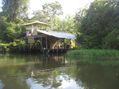 TORTUGUERO,COSTA RICA.ESTACIÒN BIOLOGICA EN CAÑO PALMA