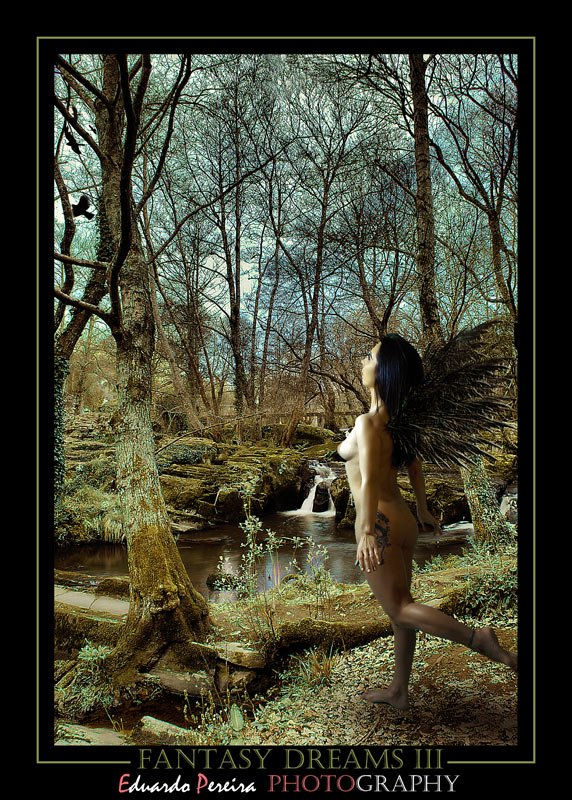fantasy dreams 3