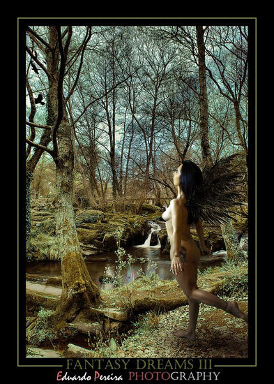 fantasy dreams 3 