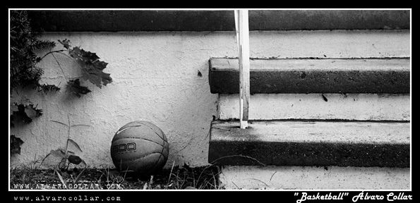 Basktball Bodegones Blanco y Negro (Digital)